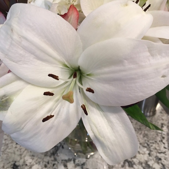 Meet your Posher, Lisa - Picture 1 of 1